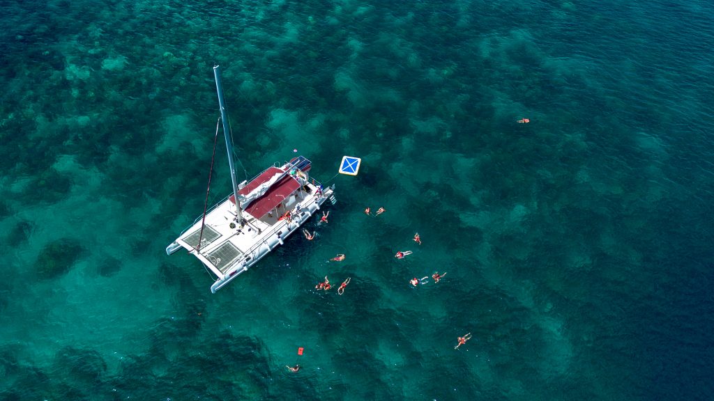Catalina Snorkel From Punta Cana