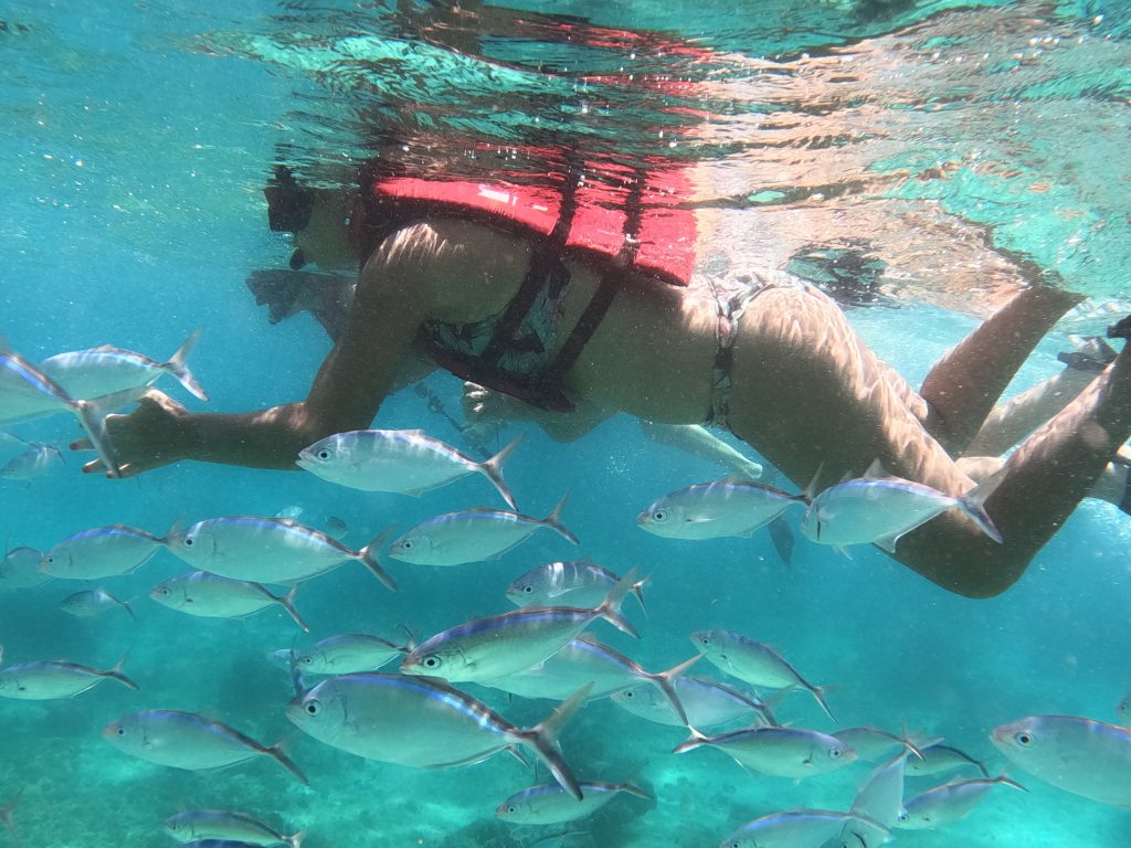 Catalina Snorkel From Punta Cana