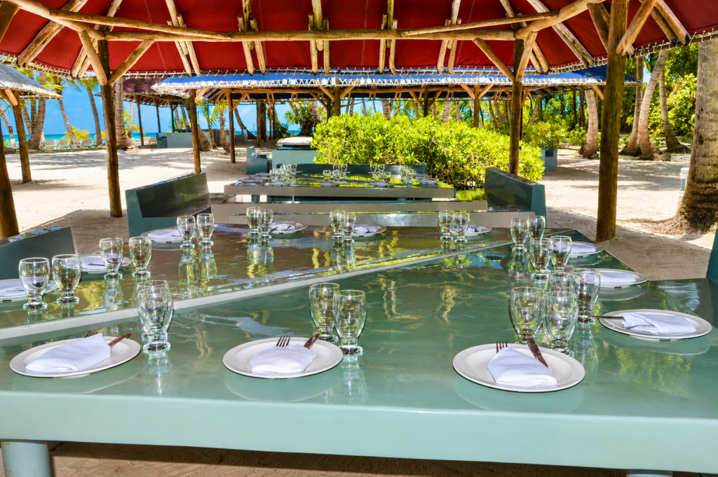 Saona Island & Altos de Chavon From Punta Cana